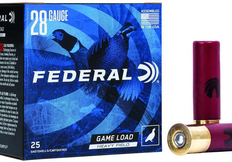 FEDERAL 28GA 2-3/4" 1 OZ 6 25 RD/BX 10 BX/CS