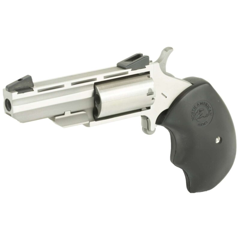 NAA BLK WIDOW MINI-RVLVR 22LR/M STS - Image 2