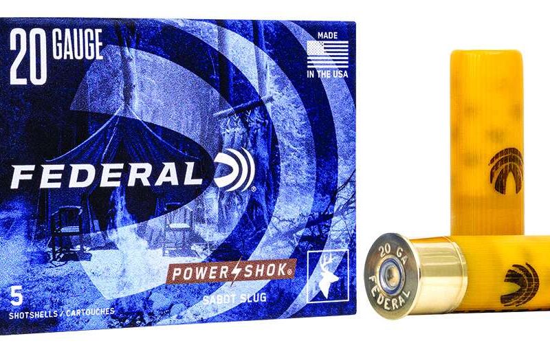FEDERAL 20GA 2-3/4" MAX 7/8OZ SABOT 5 RD/BX 50 BX/CS