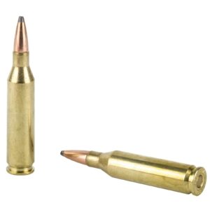 HORNADY AW 243 WIN 100GR INTERLOCK 20RD BX 200RD CASE - Image 3