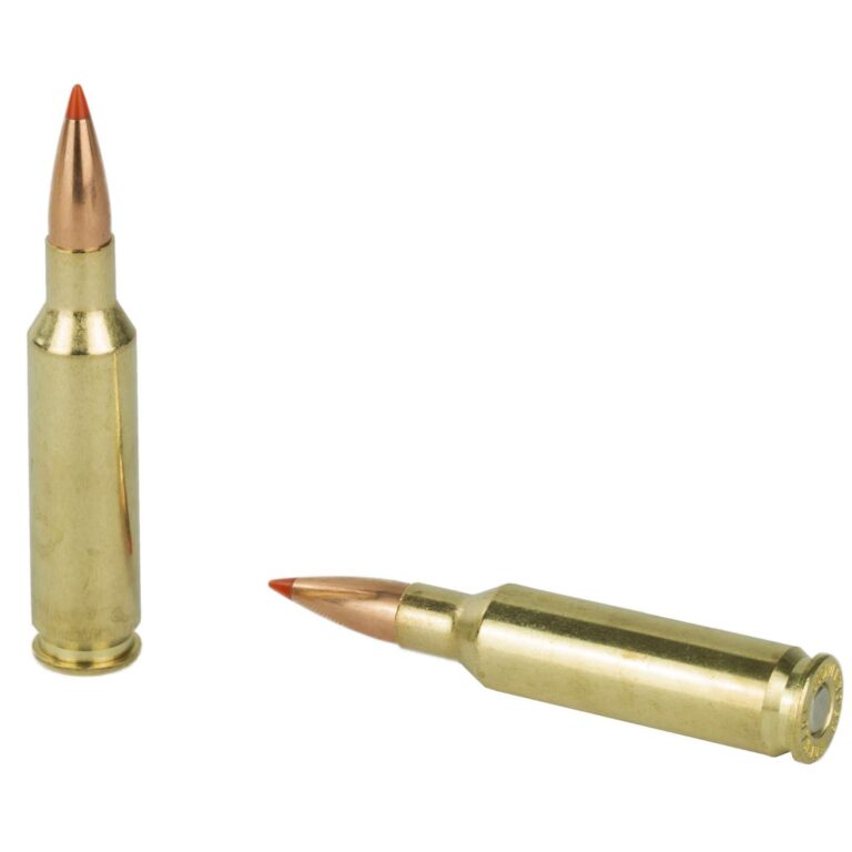 HORNADY VARMINT EXPRESS 6.5CM 95G V-MAX 20RD BX 200RD CASE - Image 3