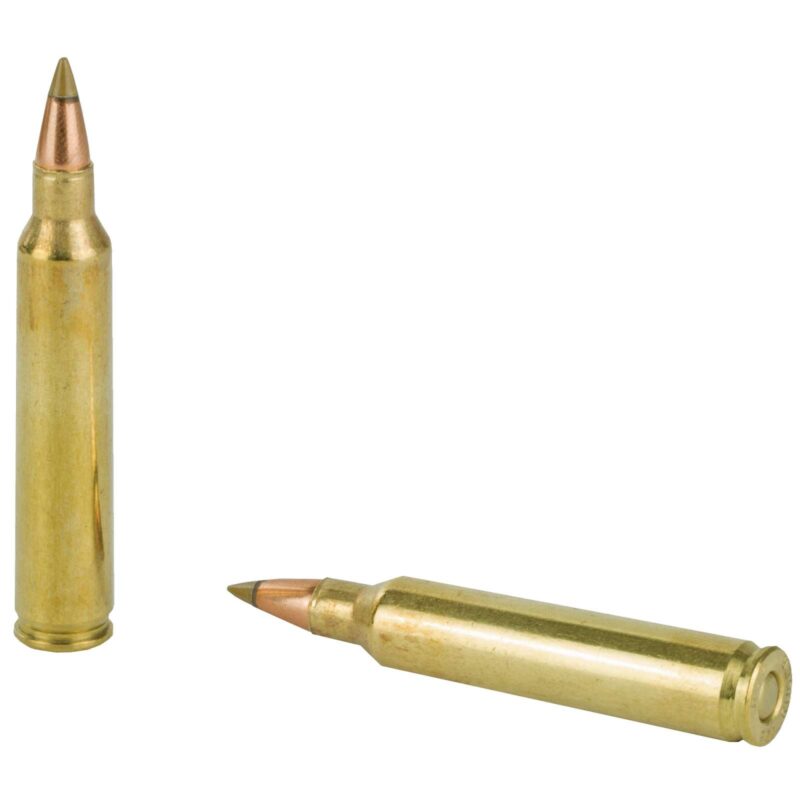 REMINGTON PRA204A 204 RUGER 32GR ACCUTIP-V 20 RD/BX 10 BX/CS - Image 3