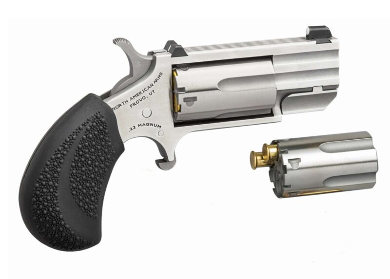 NAA MINI REVLVR PUG DC CONV 22LR/MAG 1" XS SIGHTS