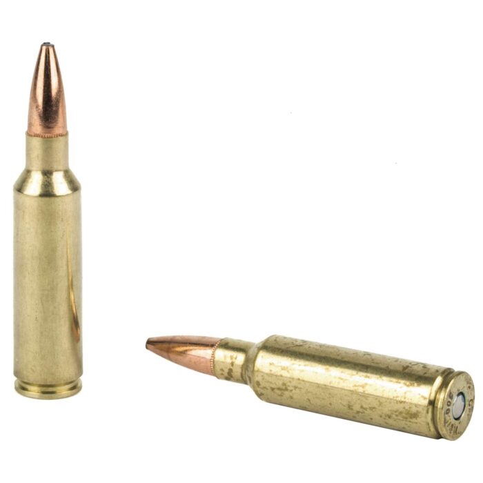 FEDERAL 300 WSM 180GR FUSION 20 RD/BX 10 BX/CS - Image 3