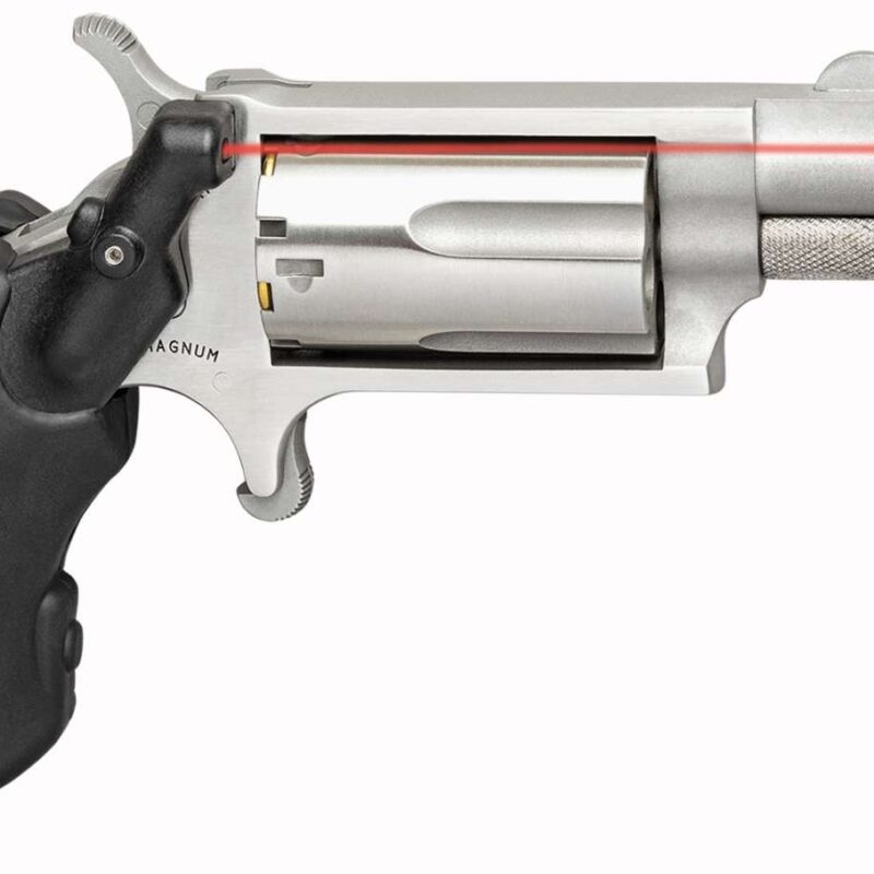 NAA MINI-REV W/VL 22MG SGL STS 11/8