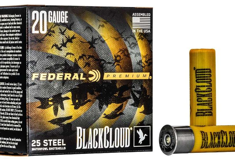 FEDERAL 20GA 3" 1OZ 2 25 RD/BX 10 BX/CS
