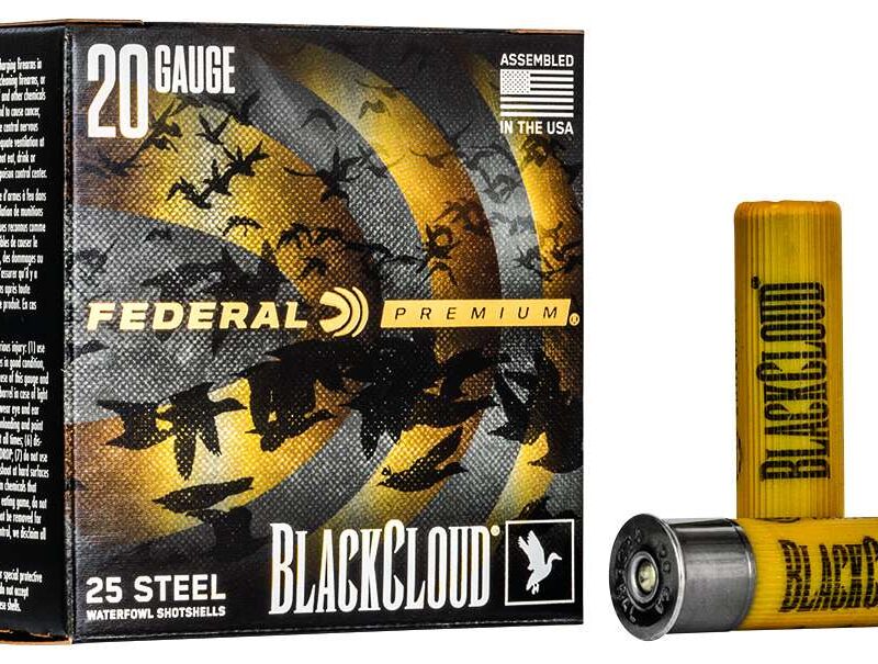 FEDERAL 20GA 3" 1OZ 4 25 RD/BX 10 BX/CS