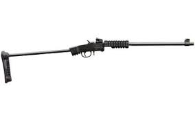 CHIAPPA LITTLE BADGER T/D EXTREME 22LR RFL W/TUBE