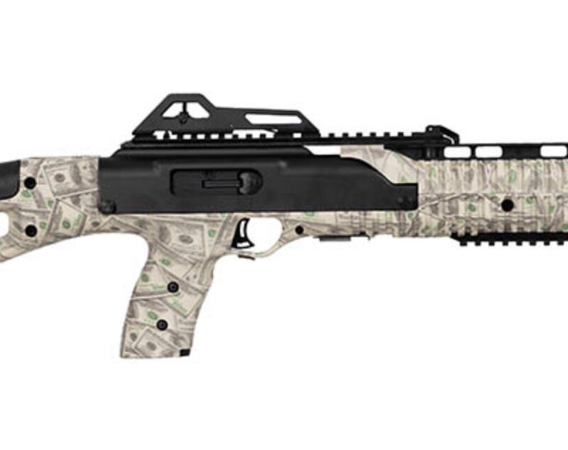 HI POINT 9TS 9MM CARBINE RFL $100 BILL PATTERN TRGT STK