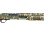 image full 4476 b2b2eb3ab1e28ddd83070c1612d71189