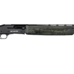 image full 4947 69a863093387b0e121a8dc6ec46c229f