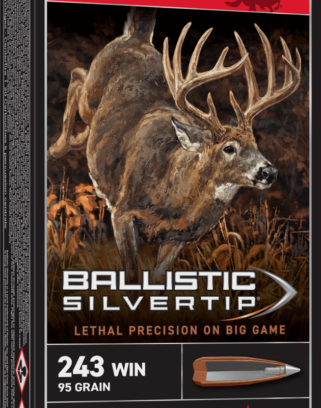 WINCHESTER BALLISTIC SILVERTIP 243WIN 95GR 20RD BX 200RD CASE