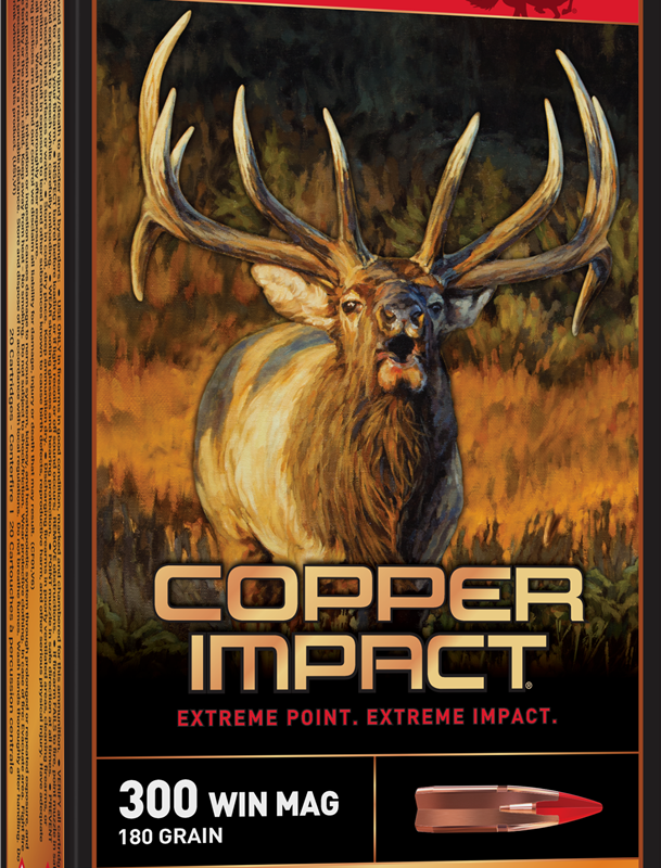 WINCHESTER COPPER IMPCT 300WM 180G LF 20RD BX 200RD CASE