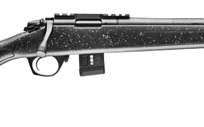 BERGARA BMR 22WMR MICRO RFL STL BBL