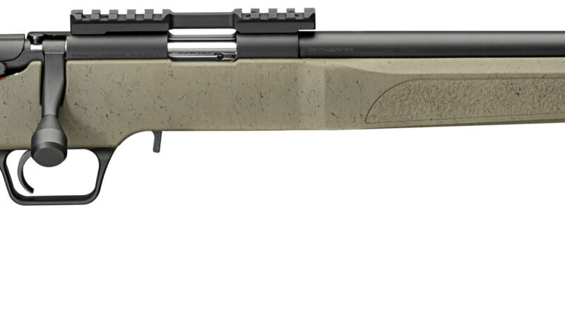 SPRINGFIELD ARMORY MODEL 2020 RF TARGET 22LR GRN BLK WEB 1-10RD