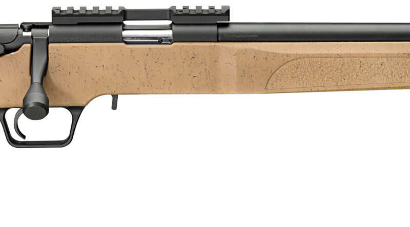 SPRINGFIELD ARMORY MODEL 2020 RF TARGET 22LR COYOTE BROWN BLK WEB 1-10RD