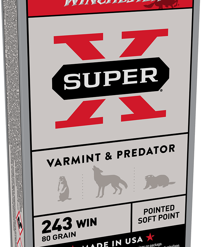 WINCHESTER SPR-X 243WIN 80GR PSP