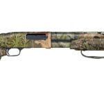 image full 7169 a303245c89ae9e819771b086aee1ec6d