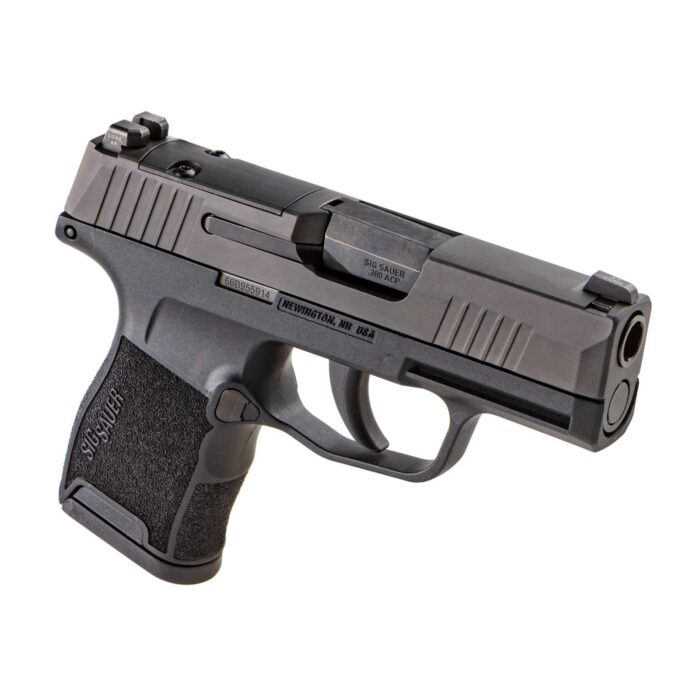 SIG SAUER P365 380ACP PSTL BLK NIGHT SIGHTS 2-10RD MAGS - Image 2