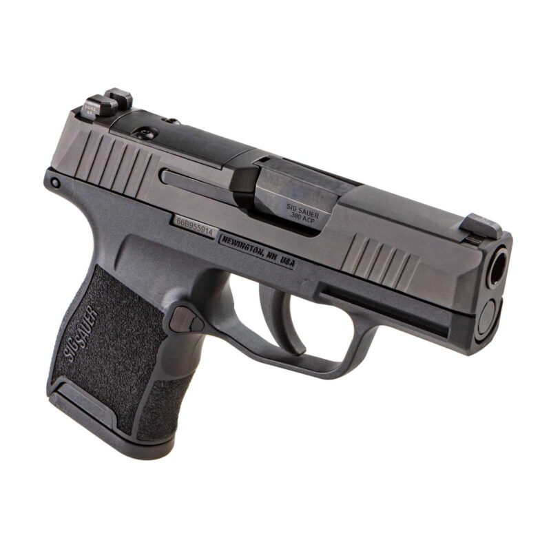 SIG SAUER P365 380ACP PSTL BLK NIGHT SIGHTS 2-10RD MAGS - Image 2