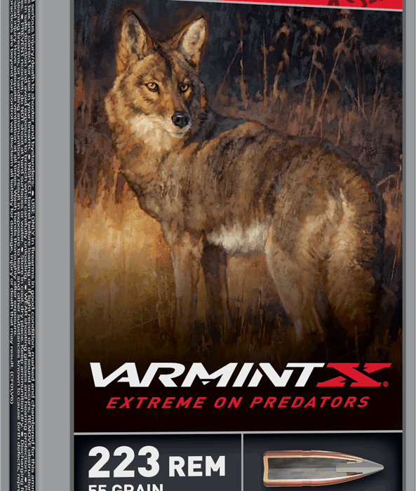 VARMINT X 223REM 55G 20RD BOX