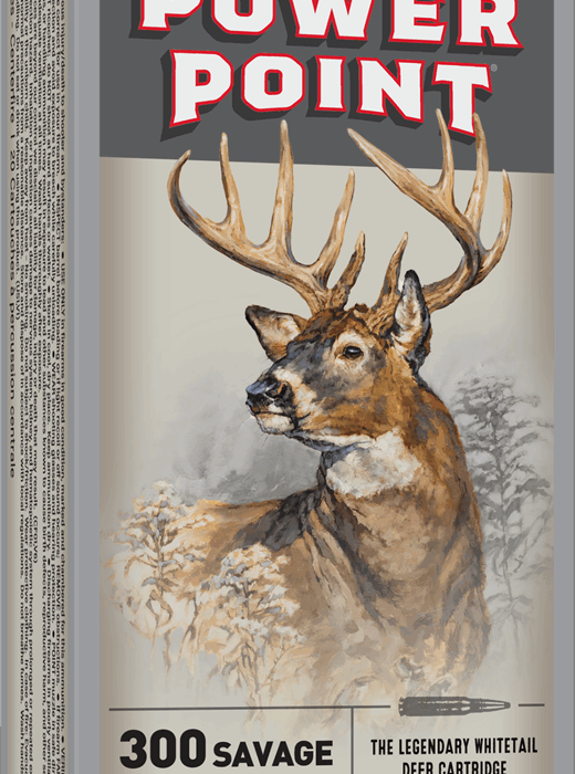 WINCHESTER SPR-X 300 SAVAGE 150GR PP