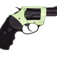 Charter Arms - SHAMROCK .38 Special 2" 5rd Full Grip Standard Hammer Green/Black Passivate - Image 2