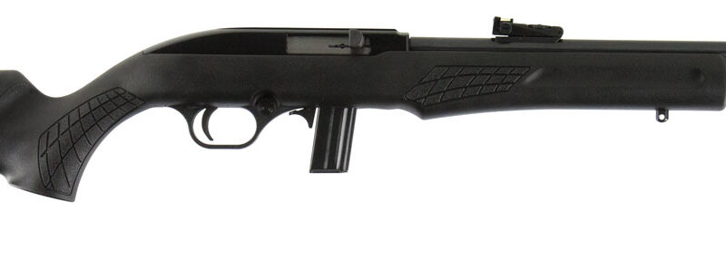Rossi RS22L1811 RS22  Semi-Auto 22 LR Caliber with 10+1 Capacity, 18" Barrel, Blued Metal Finish & Monte Carlo Black Synthetic Stock Right Hand (Full Size)