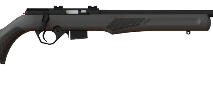 Rossi RB22W2111 RB22  Full Size 22 WMR 5+1, 21" Blued Button Rifled Free Floating Steel Barrel, Blued Stainless Steel Receiver, Black Monte Carlo Stock, Right Hand