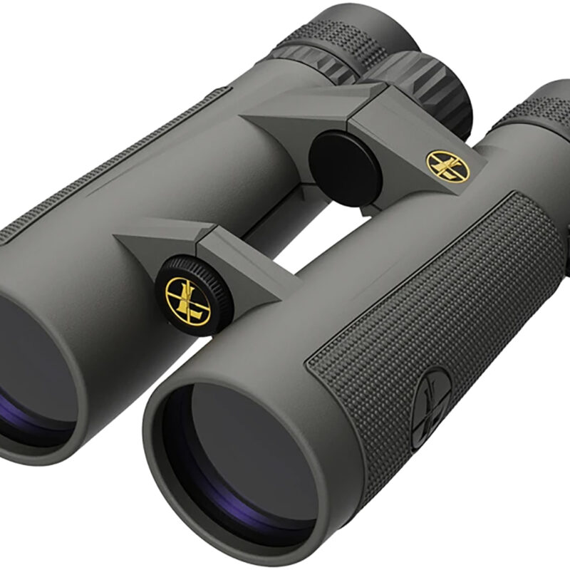 Leupold 175854 BX-5 Santiam HD 10x50mm Roof Prism Shadow Gray Armor Coated