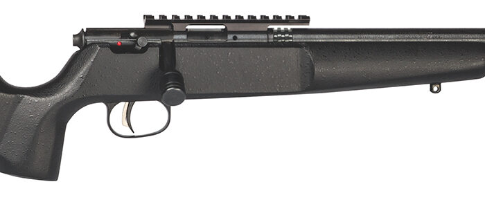 Savage Arms 13823 Rascal Target Youth 22 LR 1rd 16.12" Matte Black Threaded Barrel, Matte Black Picatinny Rail Carbon Steel Receiver, Matte Black Fixed Wood Stock, Right Hand