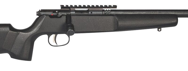 Savage Arms 13823 Rascal Target Youth 22 LR 1rd 16.12" Matte Black Threaded Barrel, Matte Black Picatinny Rail Carbon Steel Receiver, Matte Black Fixed Wood Stock, Right Hand