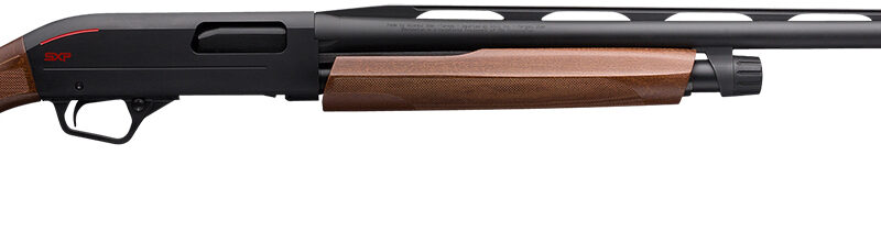 Winchester Repeating Arms 512297693 SXP Trap Compact 20 Gauge 30" 4+1 3" Matte Black Rec/Barrel Satin Walnut Fixed with High Profile Trap Comb Stock Right Hand Includes 3 Invector-Plus Chokes