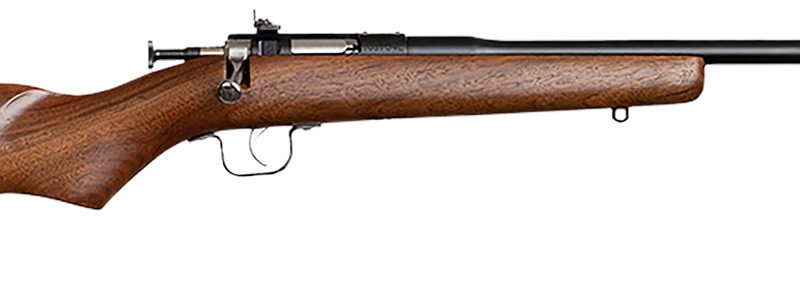 Chipmunk 00001 Youth  22 LR 1rd 16.13" Blued Steel Barrel & Receiver, American Walnut Fixed Wood Stock