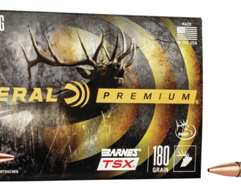 Federal P300WP Premium  300WinMag 180gr Barnes TSX 20 Per Box/10 Case