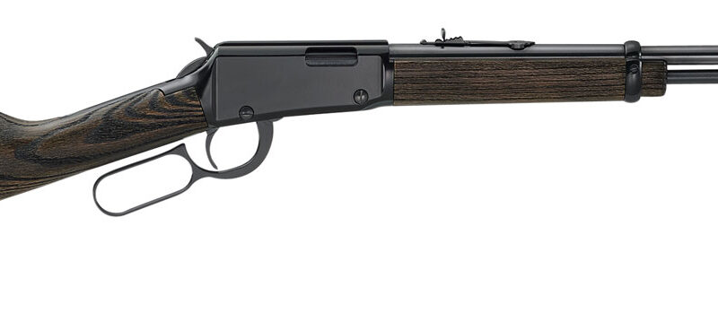 Henry H001GG Garden Gun Smoothbore Full Size 22 LR/Shotshell 15+1 18.50" Smooth Bore Barrel, Black Metal Finish, Black Ash Stock Right Hand