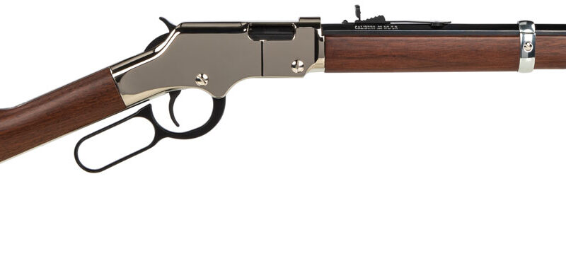 Henry H004SY Golden Boy Silver Youth 22 Long/22 LR/22 Short 16 LR/21 Short, 17" Blued Octagon Barrel, Nickel-Plated Steel Receiver, American Walnut