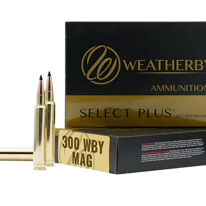 Weatherby H300180IL Select  300WthbyMag 180gr Hornady Interlock 20 Per Box/10 Case