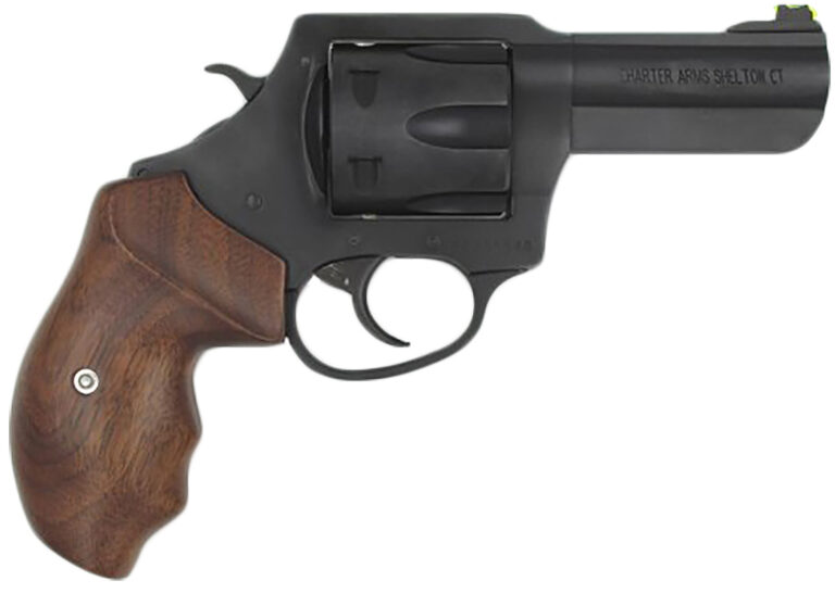 Charter Arms 63526 Professional  357 Mag 6 Shot 3" Black Nitride Steel Barrel & Cylinder, Black Nitride Stainless Steel Frame, Black Finger Grooved Rubber Grip, Exposed Hammer