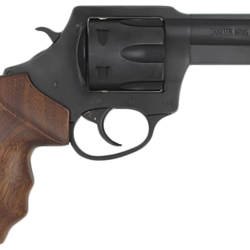 Charter Arms 63526 Professional  357 Mag 6 Shot 3" Black Nitride Steel Barrel & Cylinder, Black Nitride Stainless Steel Frame, Black Finger Grooved Rubber Grip, Exposed Hammer