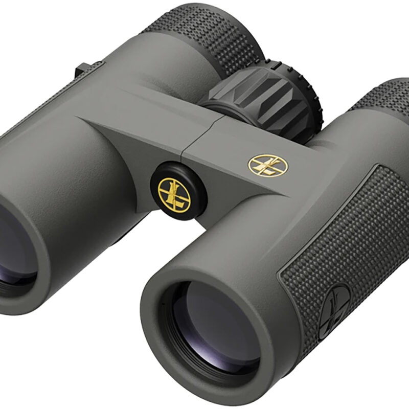 Leupold 172660 BX-4 Pro Guide  HD 10x32mm Roof Prism Shadow Gray Armor Coated