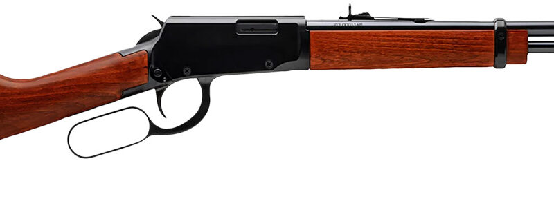 Rossi RL22181WD Rio Bravo  Lever Action 22 LR Caliber with 15+1 Capacity, 18" Round Barrel, Polished Black Metal Finish & German Beechwood Stock Right Hand (Full Size)