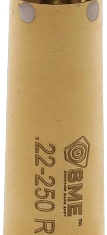 SME XSIBL250 Sight-Rite Laser Bore Sighting System 22-250 Rem Brass Casing