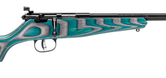 Savage Arms 13802 Rascal Minimalist Youth 22 LR 1rd 16.12" Matte Black Threaded Barrel, Satin Black Carbon Steel Receiver, Gray & Teal Hybrid Boyd's Minimalist Laminate Stock, Right Hand