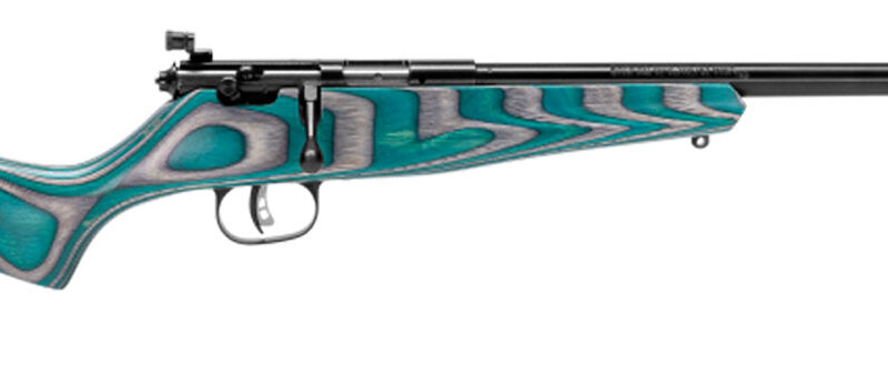 Savage Arms 13802 Rascal Minimalist Youth 22 LR 1rd 16.12" Matte Black Threaded Barrel, Satin Black Carbon Steel Receiver, Gray & Teal Hybrid Boyd's Minimalist Laminate Stock, Right Hand