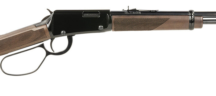 Henry H001MLL Classic Large Loop 22 WMR 10+1 19.25", Blued Barrel/Rec, Fixed American Walnut Stock