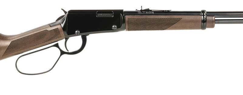 Henry H001MLL Classic Large Loop 22 WMR 10+1 19.25", Blued Barrel/Rec, Fixed American Walnut Stock