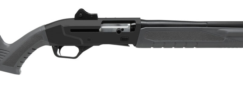 Savage Arms 57787 Renegauge Security Full Size 12 Gauge Semi-Auto 3" 6+1 18.50" Black Melonite Carbon Steel Barrel, Matte Black Aluminum Receiver, Adjustable Matte Gray Synthetic Stock, Right Hand