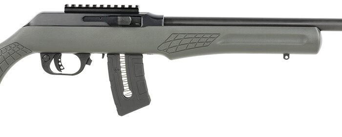 Rossi RS22W2111G RS22  22 WMR 10+1 21" Matte Black Barrel, Matte Black Alloy Steel Frame, Gray Fixed Monte Carlo Stock Right Hand