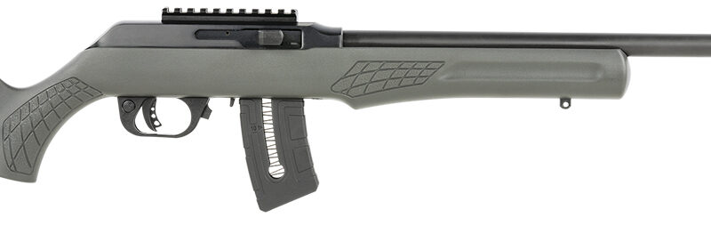 Rossi RS22W2111G RS22  22 WMR 10+1 21" Matte Black Barrel, Matte Black Alloy Steel Frame, Gray Fixed Monte Carlo Stock Right Hand
